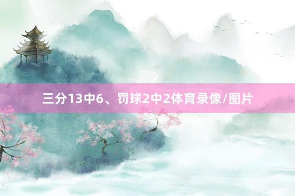 三分13中6、罚球2中2体育录像/图片