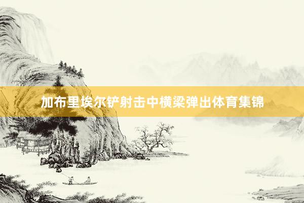 加布里埃尔铲射击中横梁弹出体育集锦