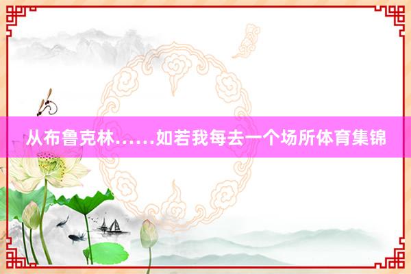 从布鲁克林……如若我每去一个场所体育集锦