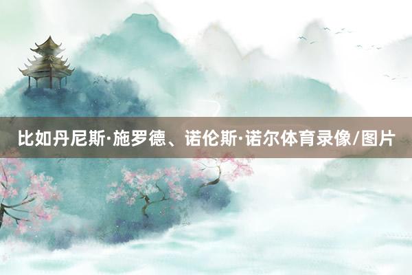 比如丹尼斯·施罗德、诺伦斯·诺尔体育录像/图片