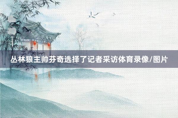 丛林狼主帅芬奇选择了记者采访体育录像/图片