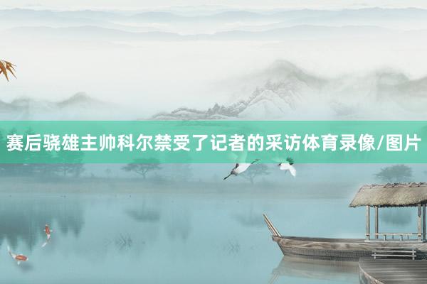 赛后骁雄主帅科尔禁受了记者的采访体育录像/图片