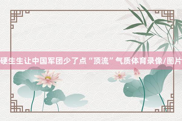 硬生生让中国军团少了点“顶流”气质体育录像/图片