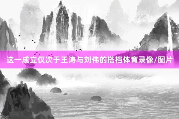这一成立仅次于王涛与刘伟的搭档体育录像/图片