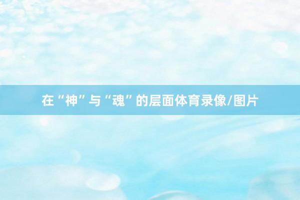 在“神”与“魂”的层面体育录像/图片
