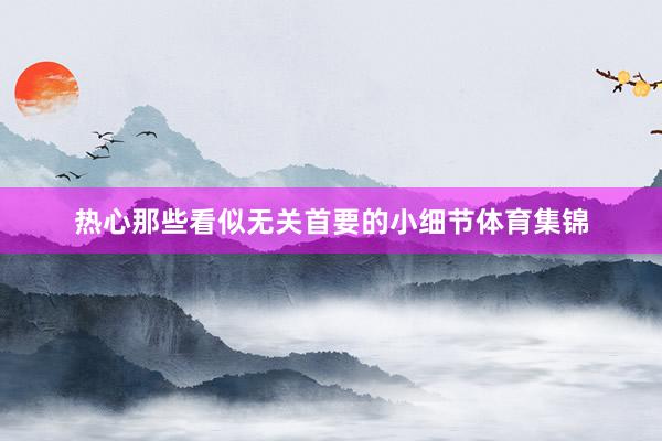热心那些看似无关首要的小细节体育集锦