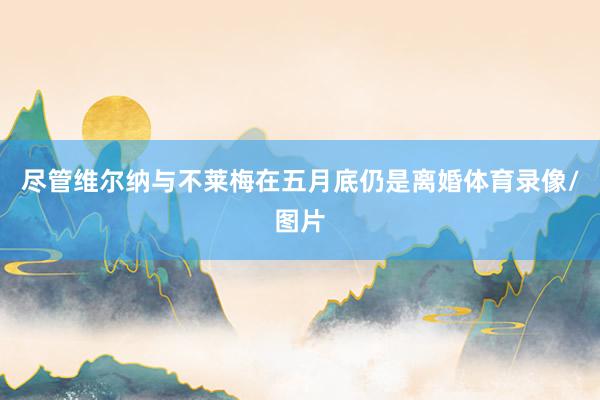 尽管维尔纳与不莱梅在五月底仍是离婚体育录像/图片