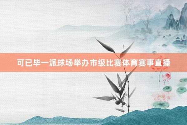 可已毕一派球场举办市级比赛体育赛事直播