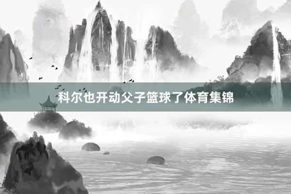 科尔也开动父子篮球了体育集锦