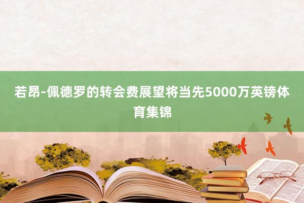 若昂-佩德罗的转会费展望将当先5000万英镑体育集锦