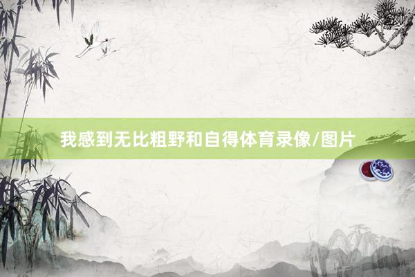 我感到无比粗野和自得体育录像/图片
