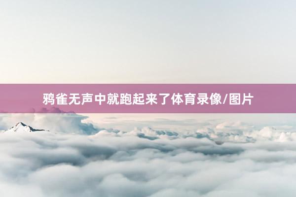鸦雀无声中就跑起来了体育录像/图片