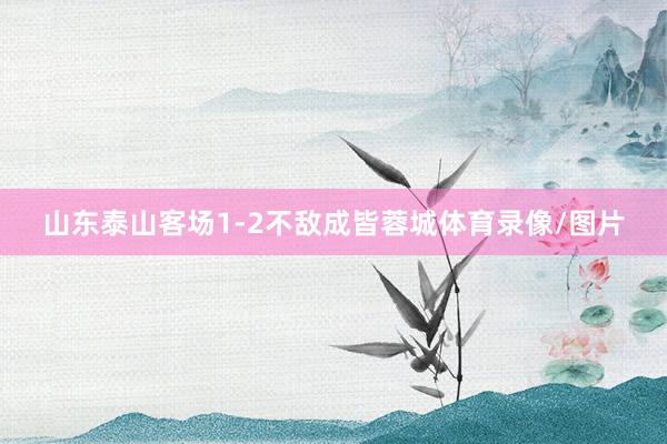 山东泰山客场1-2不敌成皆蓉城体育录像/图片