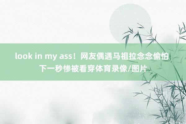 look in my ass！网友偶遇马祖拉念念偷怕 下一秒惨被看穿体育录像/图片