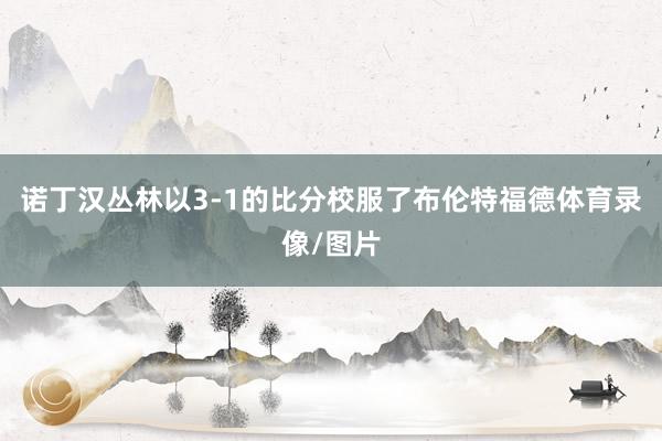 诺丁汉丛林以3-1的比分校服了布伦特福德体育录像/图片