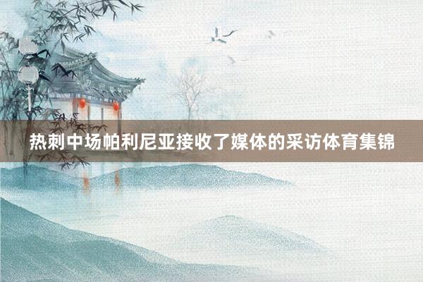 热刺中场帕利尼亚接收了媒体的采访体育集锦