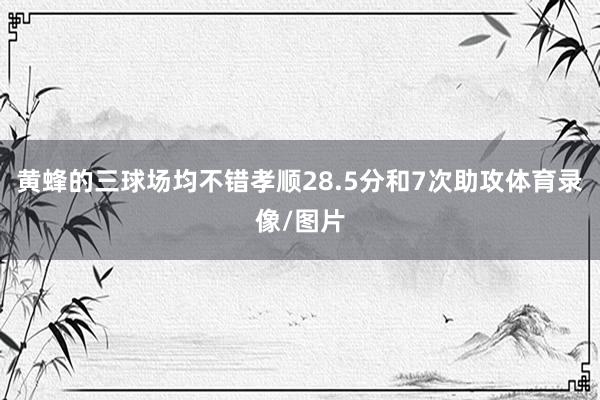 黄蜂的三球场均不错孝顺28.5分和7次助攻体育录像/图片