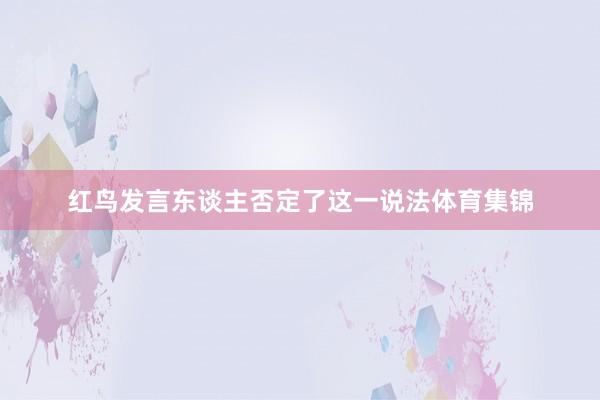 红鸟发言东谈主否定了这一说法体育集锦