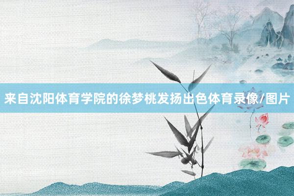 来自沈阳体育学院的徐梦桃发扬出色体育录像/图片