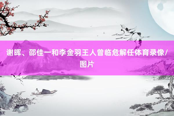 谢晖、邵佳一和李金羽王人曾临危解任体育录像/图片