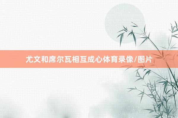 尤文和席尔瓦相互成心体育录像/图片