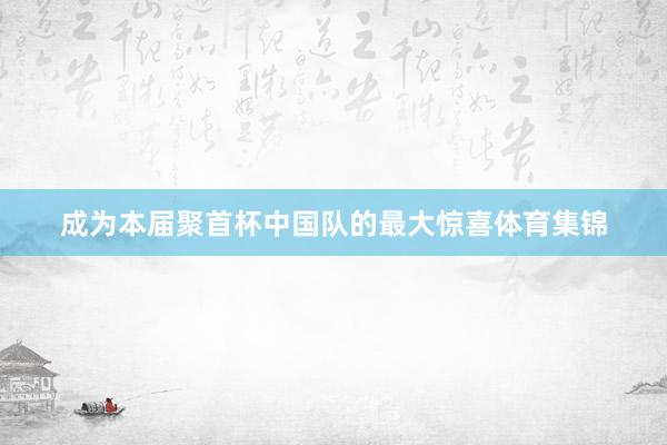 成为本届聚首杯中国队的最大惊喜体育集锦