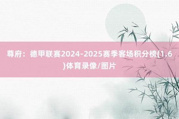 尊府：德甲联赛2024-2025赛季客场积分榜(1.6)体育录像/图片