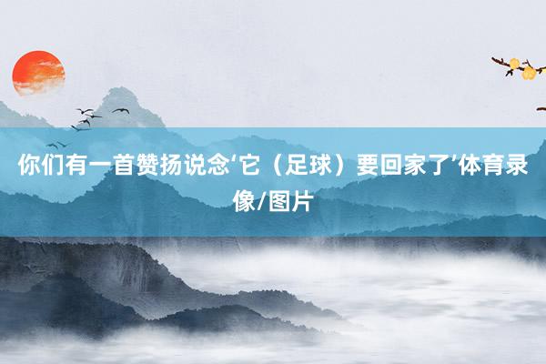 你们有一首赞扬说念‘它（足球）要回家了’体育录像/图片