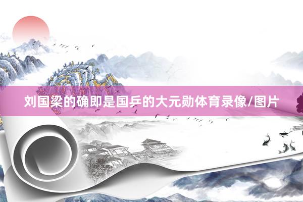 刘国梁的确即是国乒的大元勋体育录像/图片