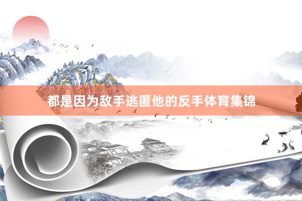 都是因为敌手逃匿他的反手体育集锦
