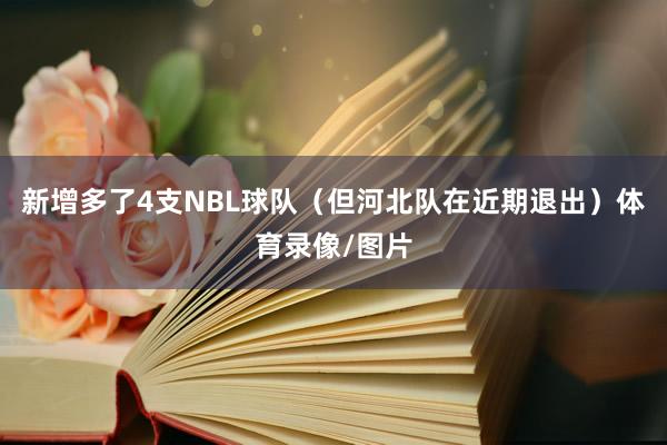 新增多了4支NBL球队（但河北队在近期退出）体育录像/图片