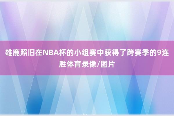 雄鹿照旧在NBA杯的小组赛中获得了跨赛季的9连胜体育录像/图片