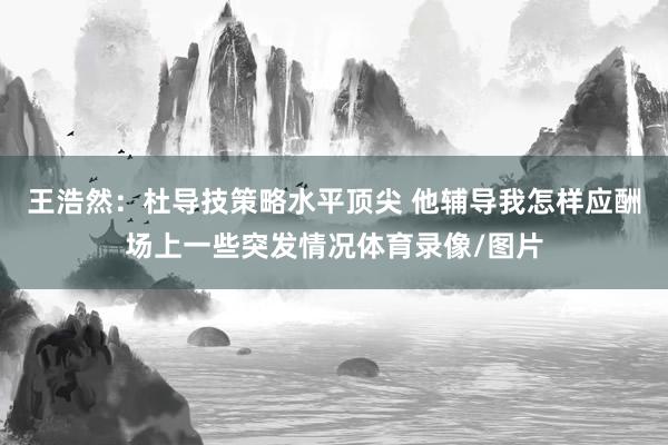王浩然：杜导技策略水平顶尖 他辅导我怎样应酬场上一些突发情况体育录像/图片