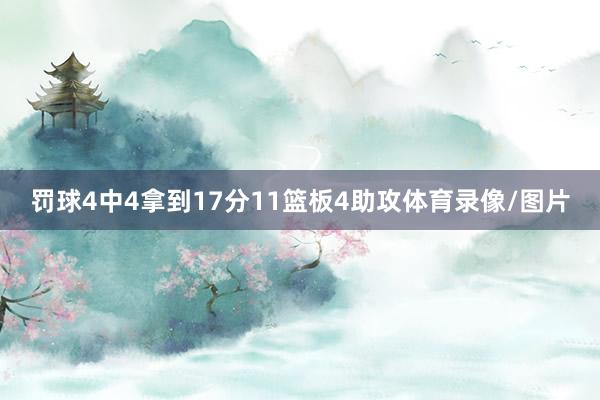 罚球4中4拿到17分11篮板4助攻体育录像/图片