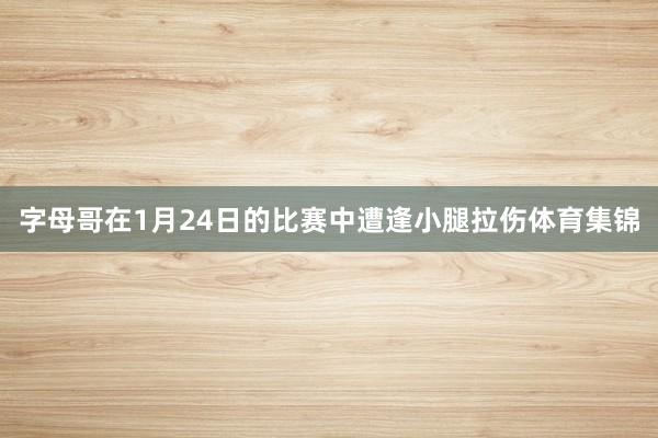 字母哥在1月24日的比赛中遭逢小腿拉伤体育集锦
