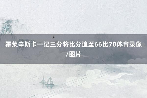 霍莱辛斯卡一记三分将比分追至66比70体育录像/图片